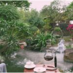 Transform Your Outdoor Space with Solar Water Features and Simple Garden Design Tips