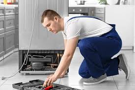 How a Refrigerator Repair Clinic Diagnoses Cooling Problems?