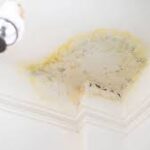 How to Identify Hidden Water Damage in Your Home?