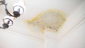 How to Identify Hidden Water Damage in Your Home?